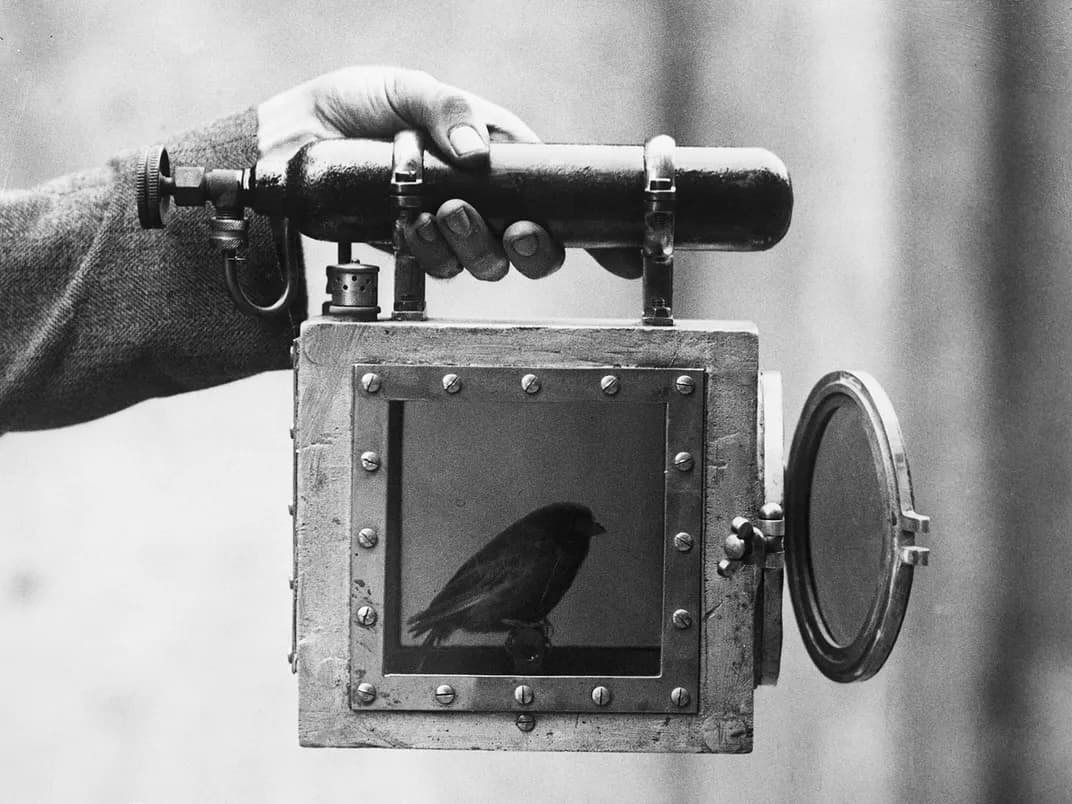 Canary Deployment 101: The Complete Beginner's Guide to Risk-Free Releases
